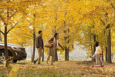 F5联合发布会：音乐游戏《DEEMO II》首曝中文名《花雨旋律DEEMO II》