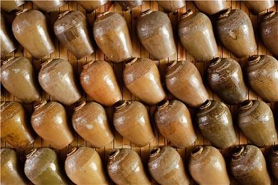 《暗黑4》职业选择率统计：法师最受欢迎德鲁伊不受欢迎